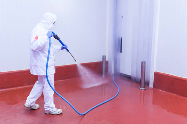 Best Driveway Pressure Washing  in Santa Rita Ranch, TX